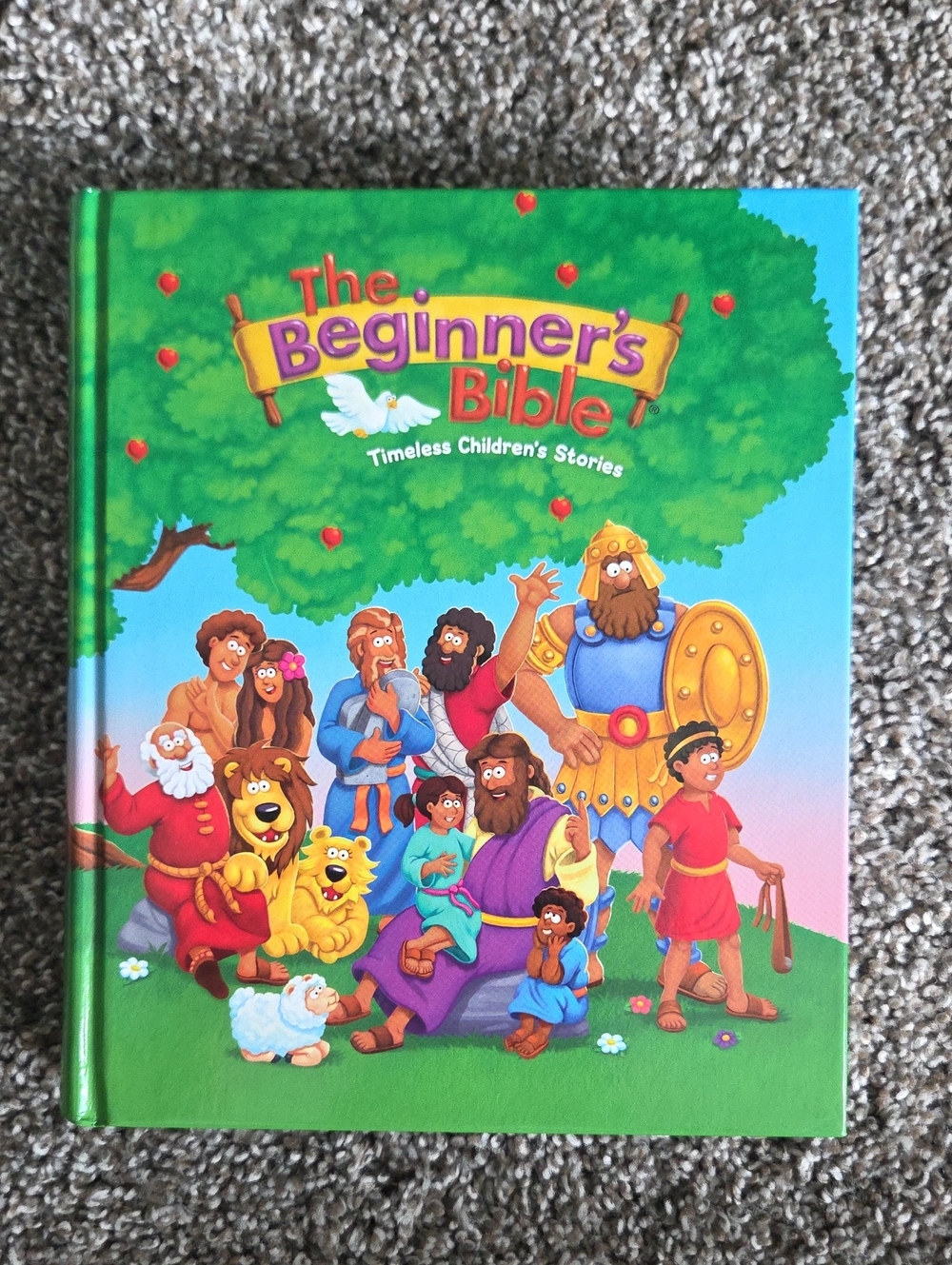 The Beginner's Bible -  Kids Storybook